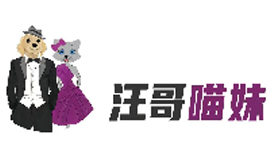 新锐翼动文化传媒